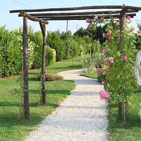 I Delfini - Natural B&B Cesenatico Extérieur photo